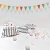 Grey Candy Stripe Paper Bags