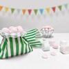 Green Candy Stripe Paper Bags