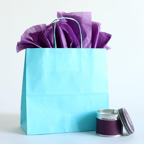 Light Blue Premium Italian  Paper Carrier Bags with Twisted Handles