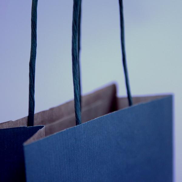 Italian Blue Paper One Bottle Bag with Twisted Handles